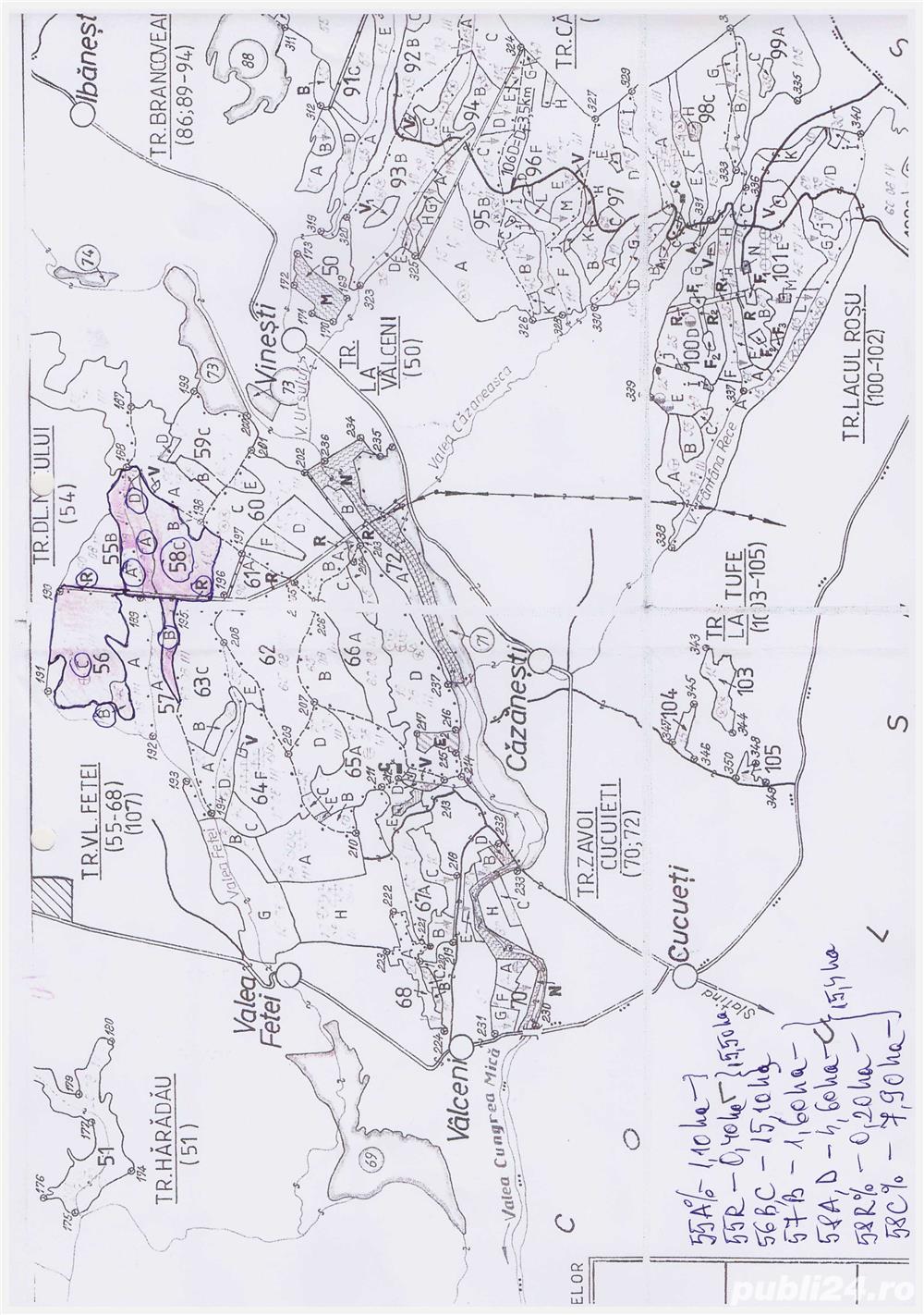 Vand 30,9 ha padure in amenajamentul comunei Vulturesti (Ocolul silvic Vulturesti), judetul Olt