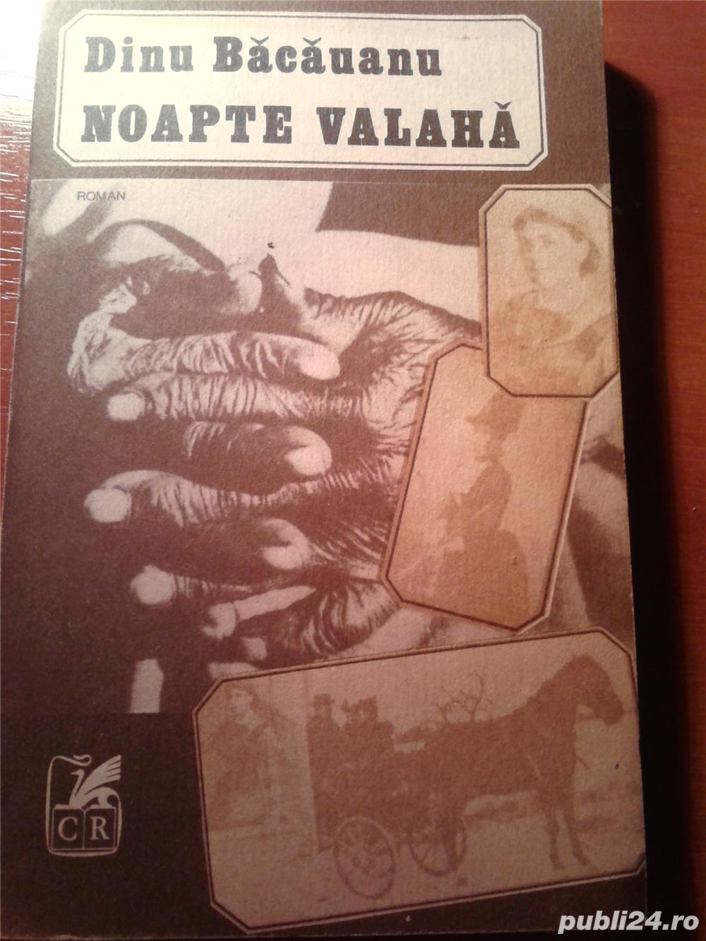 Noapte valaha de Dinu Bacauanu 