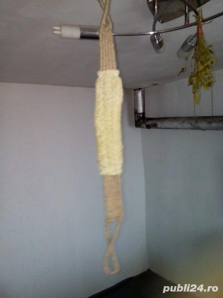 Luffa- burete medicinal cu manere