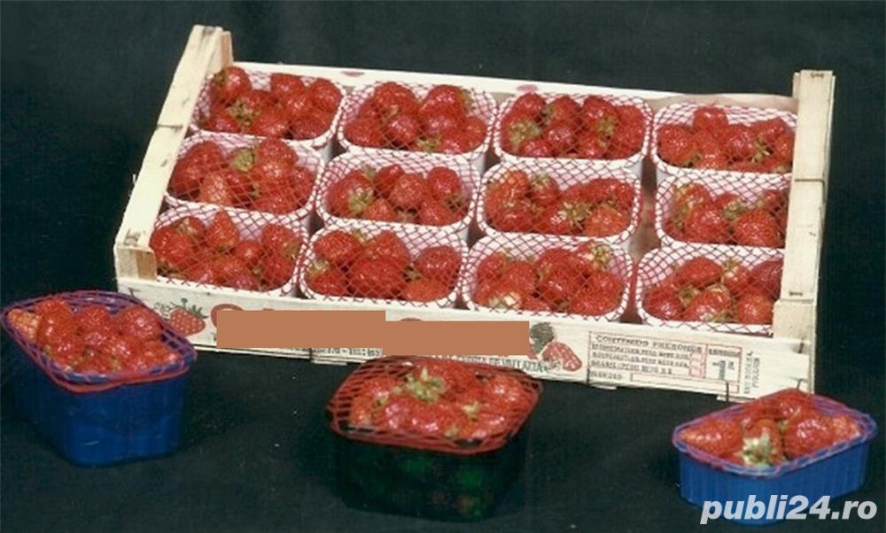 Plase elastice pentru caserole si ladite din plastic, lemn si carton