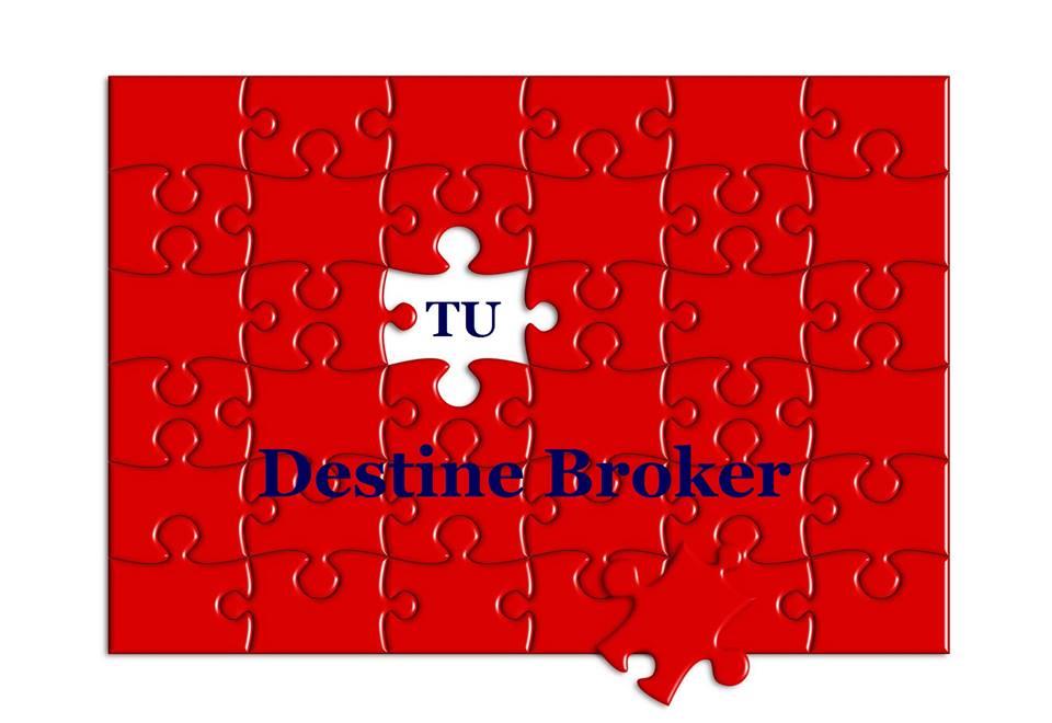 Castiga bani din ASIGURARI