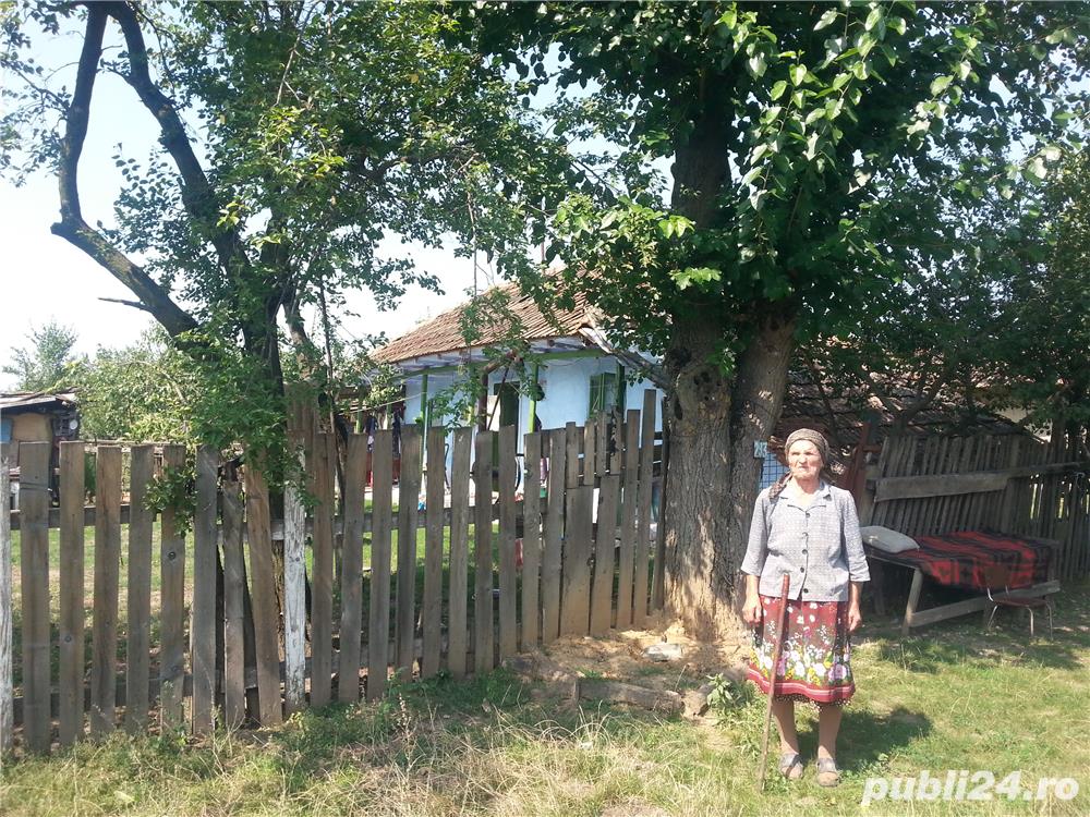 Vand teren construibil in Letca veche, Jud Giurgiu Vand teren construibil in Letca veche, Jud Giurgiu
