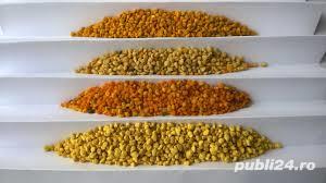 Vand polen de primavara uscat, en-gros/en/detail