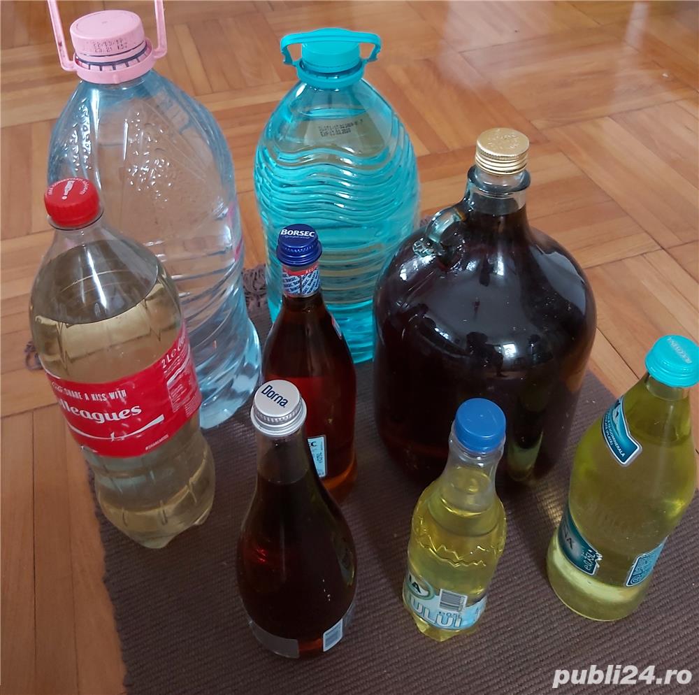 Vand palinca si coniac (vinars) de Maramures & Satu Mare (in Bucuresti sau trimit) multe sortimente!