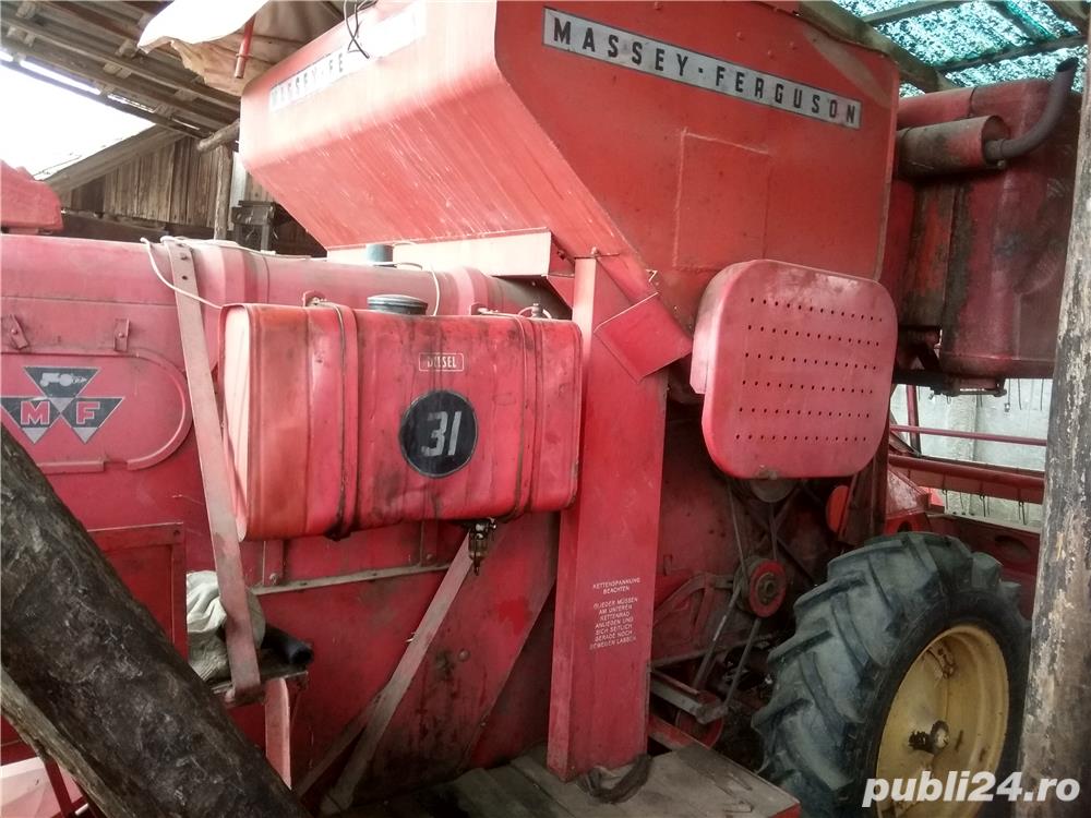 Massey ferguson MF 31