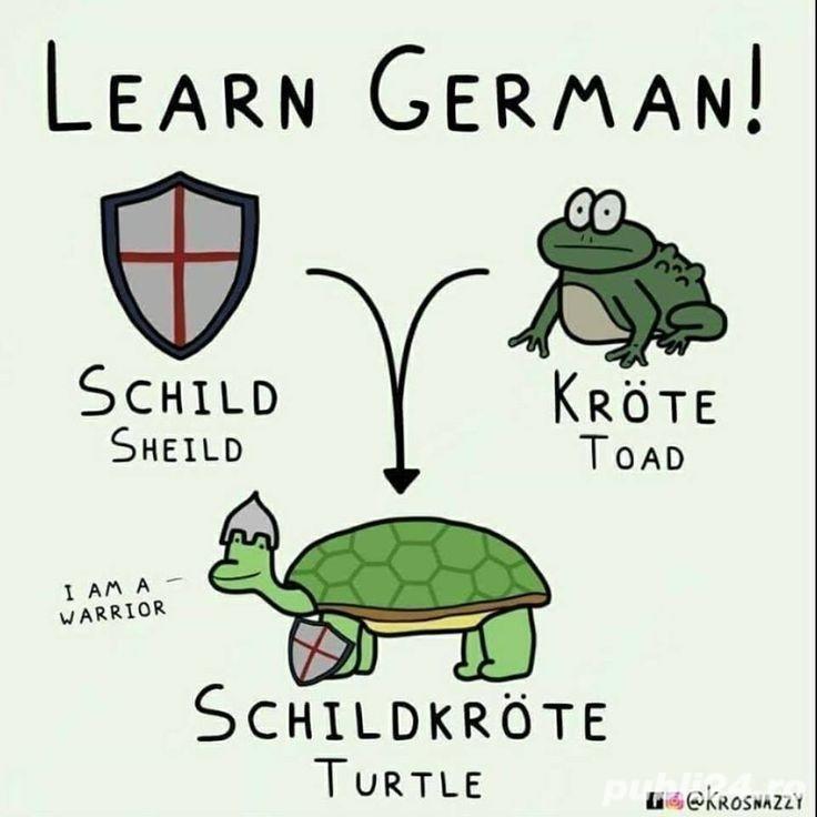 Cursuri de limba germană nivel începător 