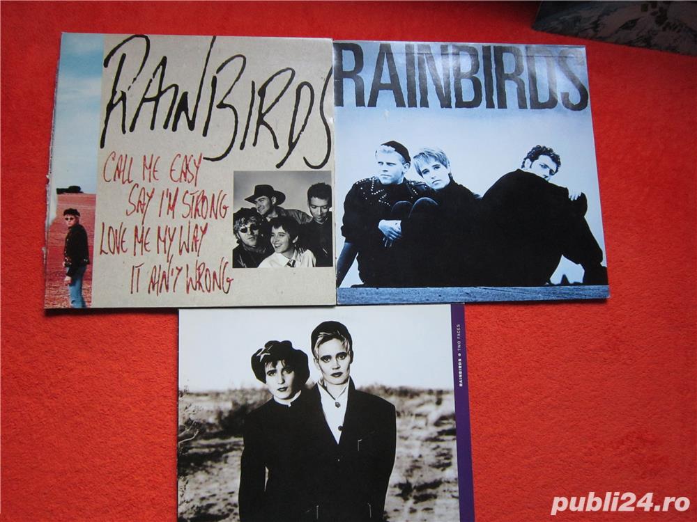 vinil Rainbirds ‎3 albume -Alternative Rock, Pop Rock
