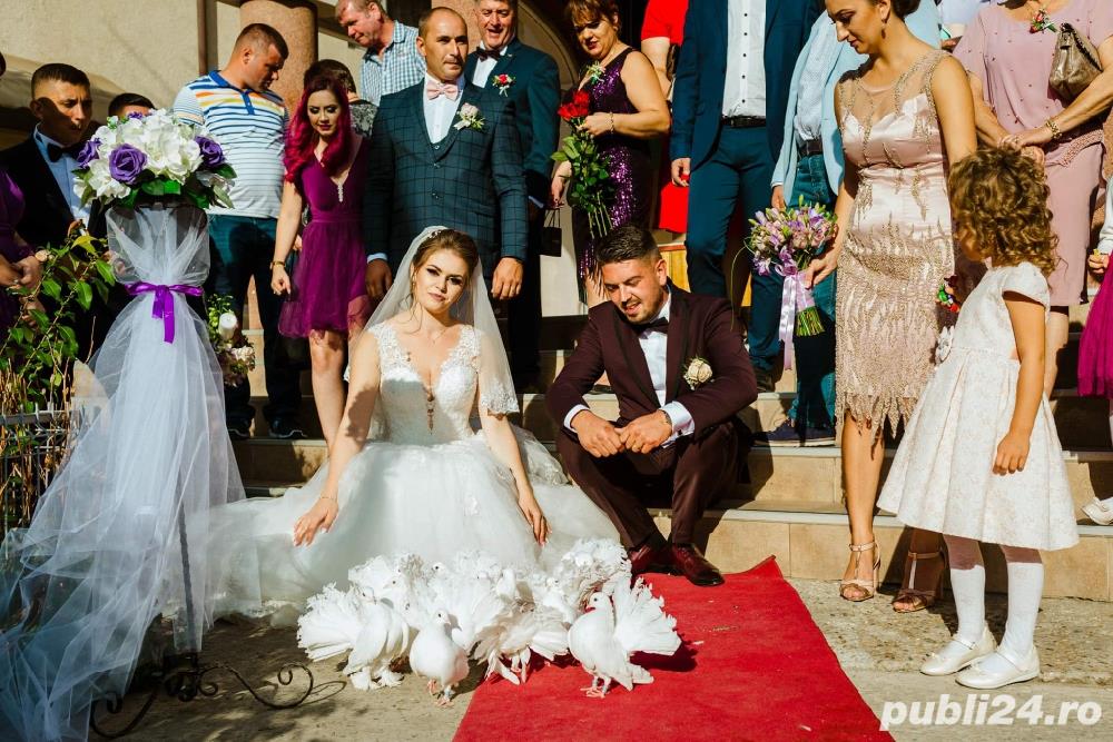 Porumbei de nunta Constanta