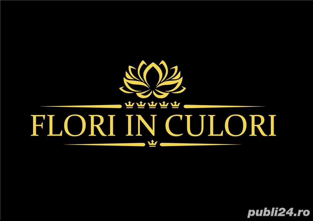 Angajăm lucrator comercial 3200 lei net - Giroc Timisoara