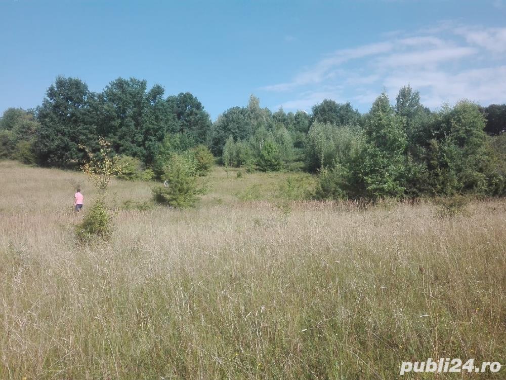 Baia de  Fier, Gorj .Vand 8600 m   teren EXTRAVILAN