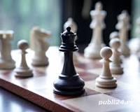 Cursuri Meditatii Sah