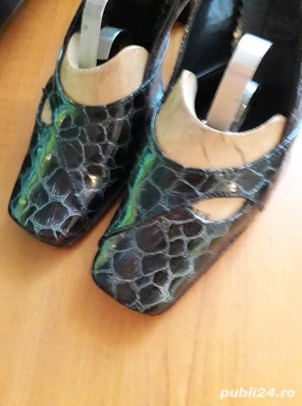 pantofi pantofi