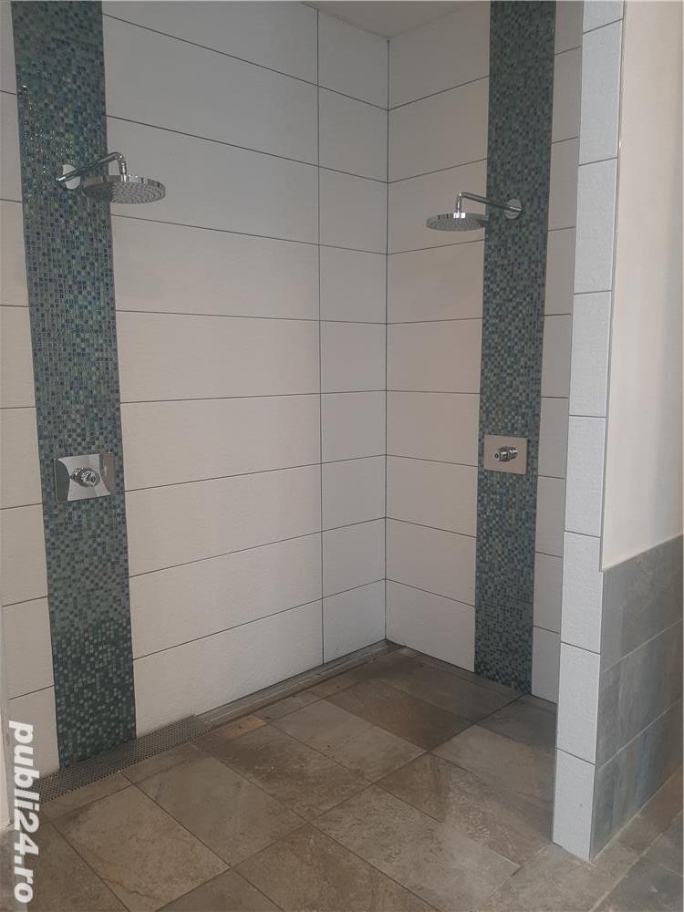 Faiantar profesional