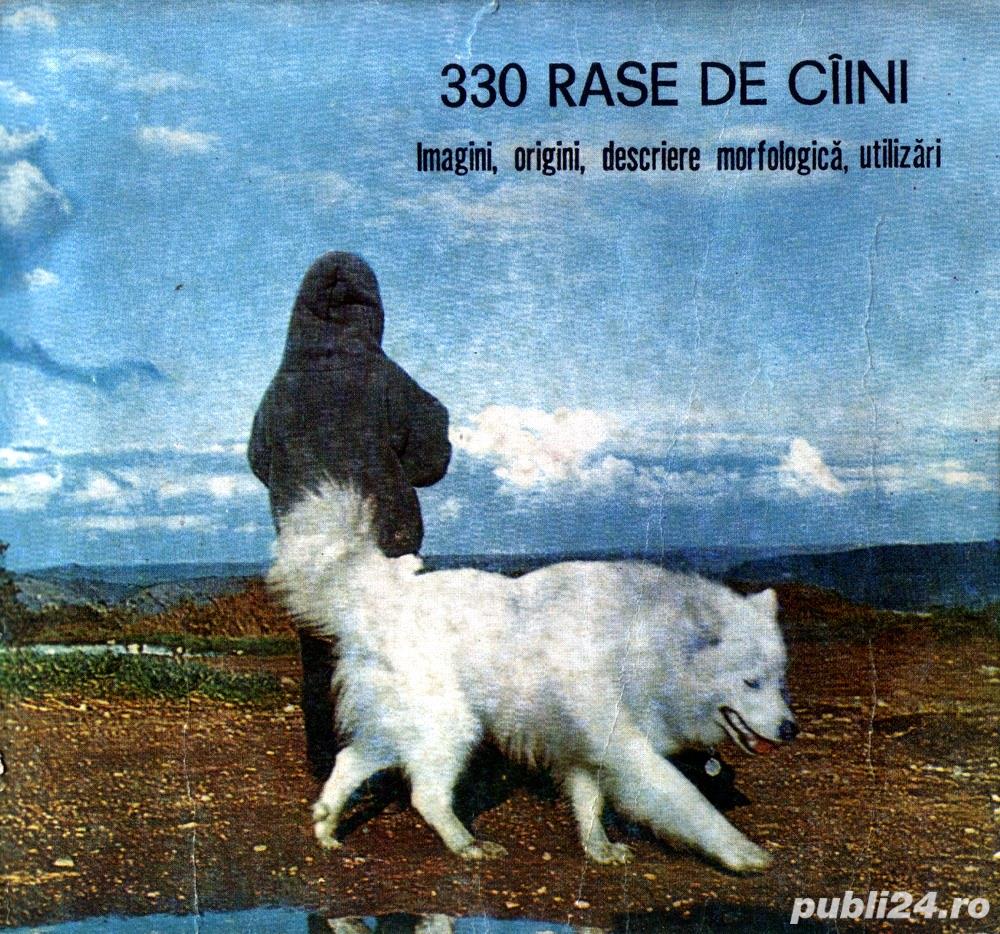 330 rase de câini Imagini, origini, descriere morfologică, utilizări 330 rase de câini Imagini, origini, descriere morfologică, utilizări