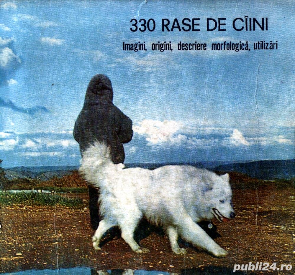 330 rase de câini Imagini, origini, descriere morfologică, utilizări