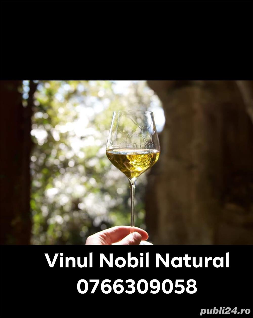 Vin de Dragasani - Soiuri Nobile