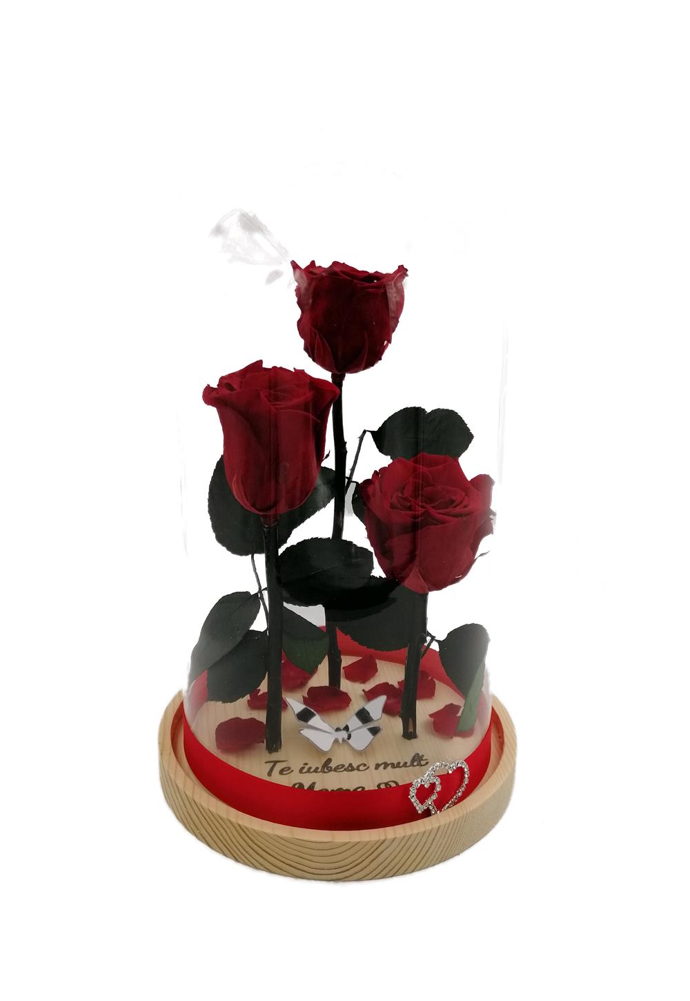Aranjament 3 trandafiri criogenati BiaRose 6,5cm in cupola de sticla cu inaltimea de 28-30cm 
