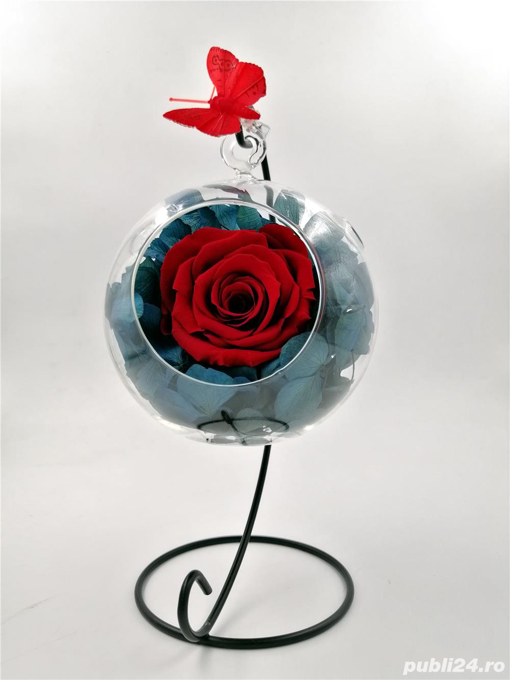 Aranjament Wide Flowers cu Hortensie Naturala Criogenata si Trandafir Natural Criogenat in bol 