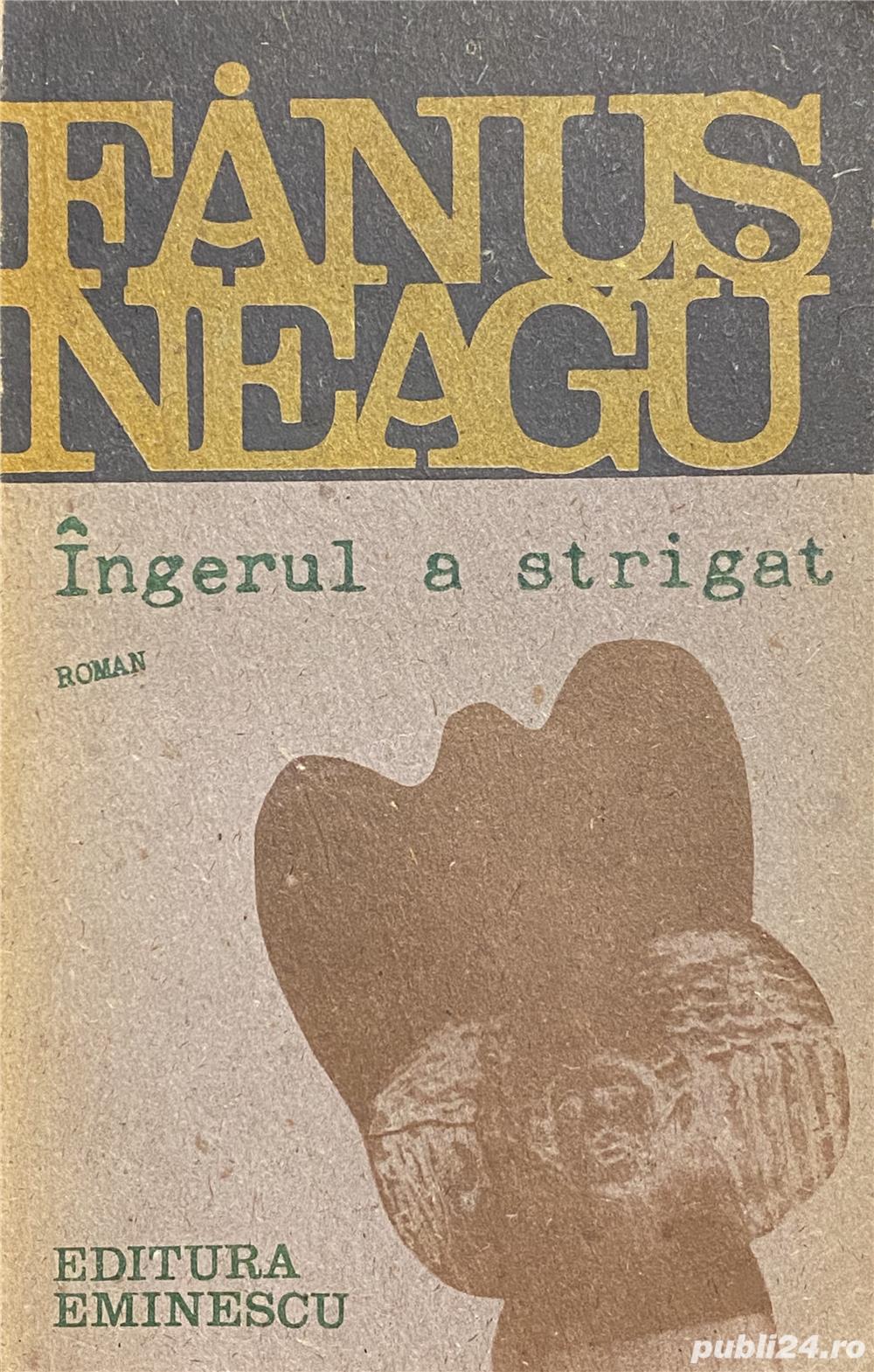 Ingerul a strigat - Fanus Neagu