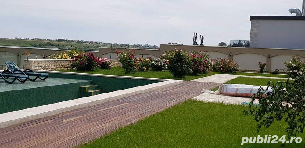 intretinere gradini gradinar 