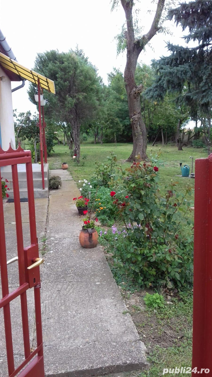Casa Ungaria Casa Ungaria