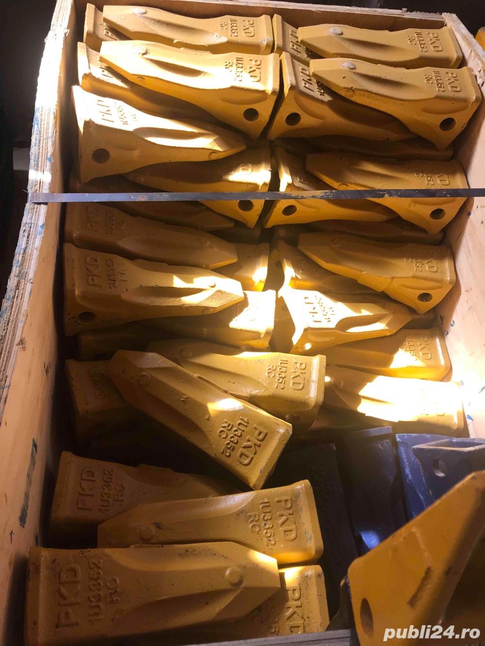 Dinti de cupa toate marimile