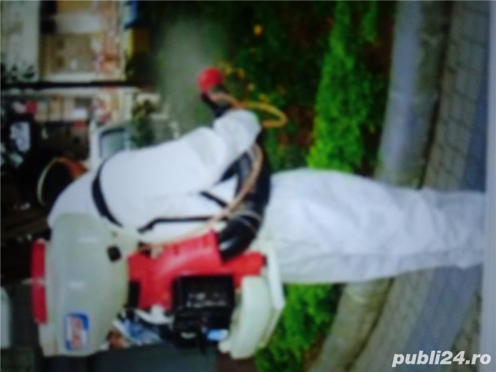 Dezinfecție , dezinsecție , deratizare