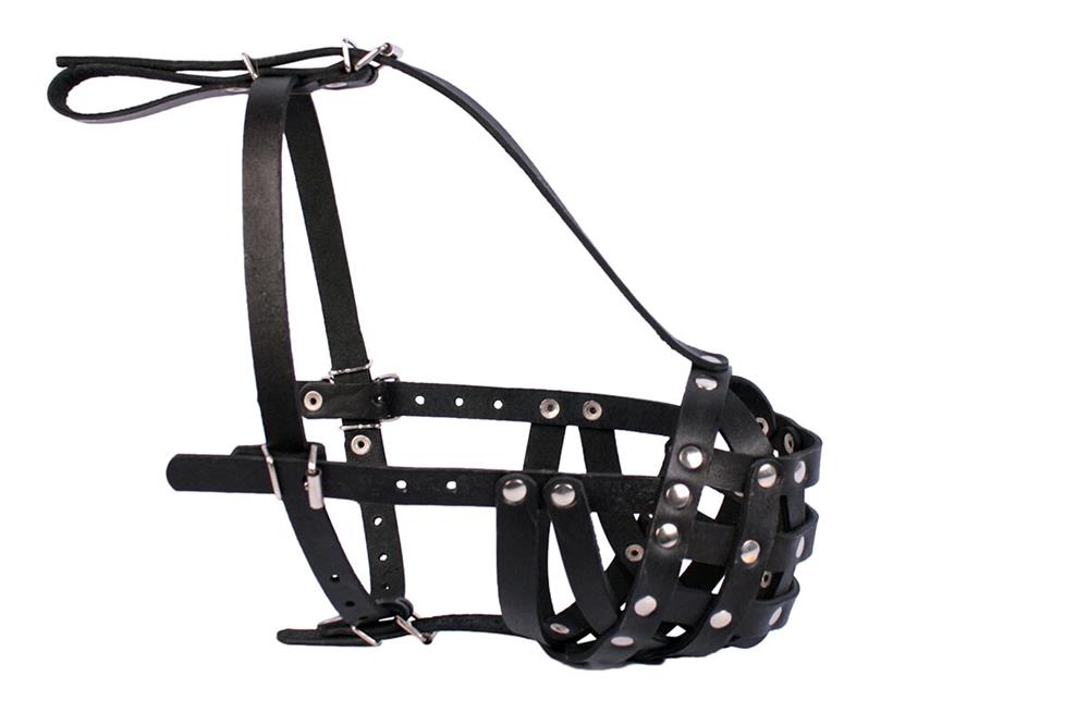 Botnita din piele naturala pentru Boxer Femela  