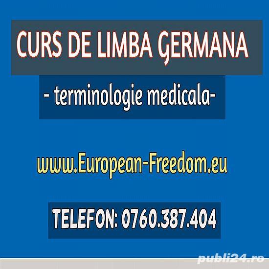 Cursuri Limba Germana Online Skype