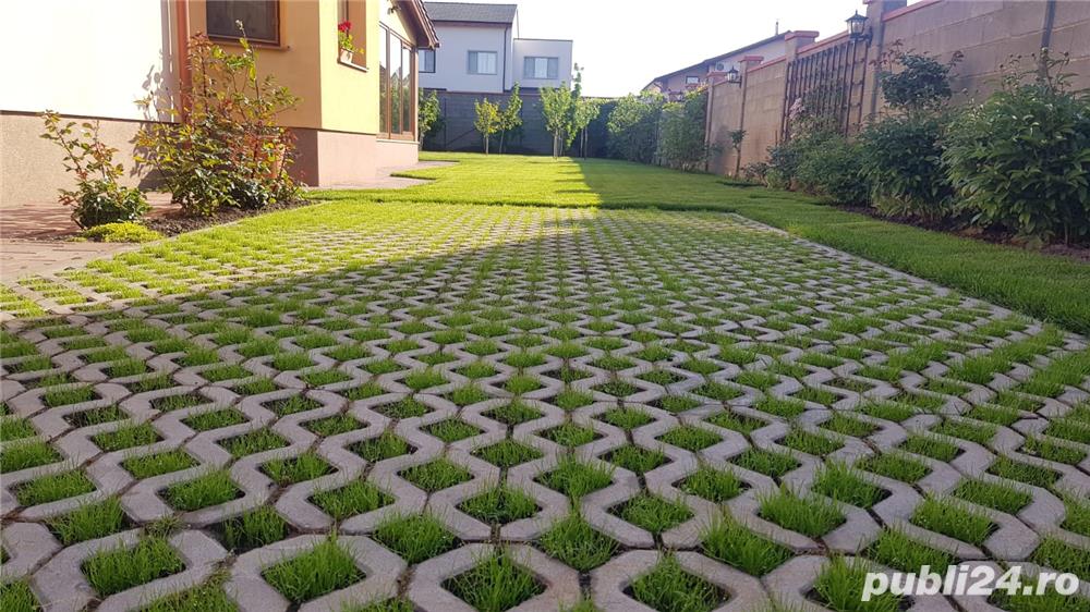 Amenajari spatii verzi