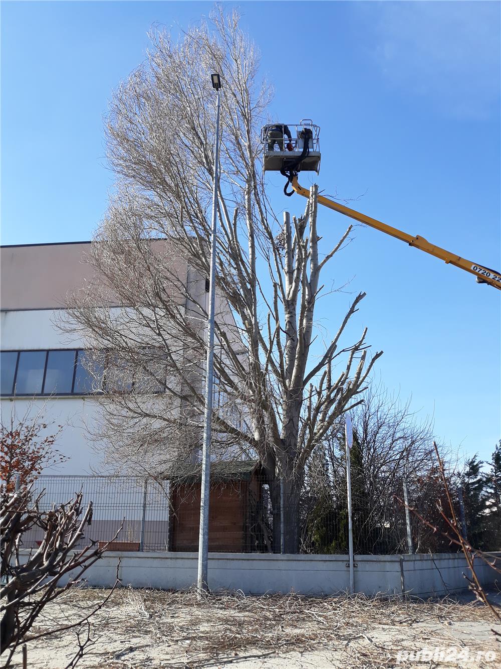 Toaletare arbori. Toaletare arbori.