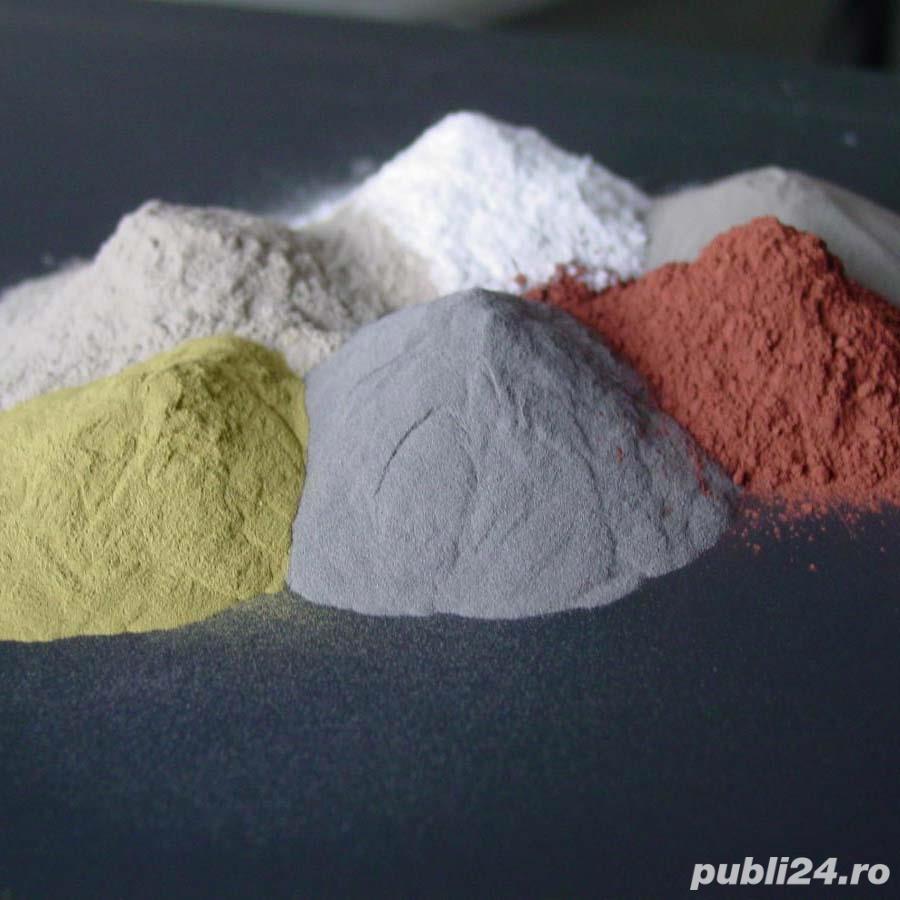 Aditivi Substante pudra & lichizi Vrac