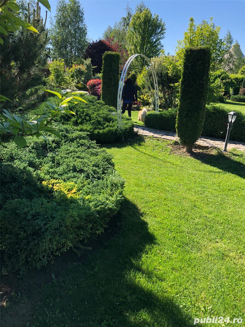 Primim un tînăr serios iubitor de cai.