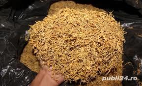 vand t.ocat si f.iricel