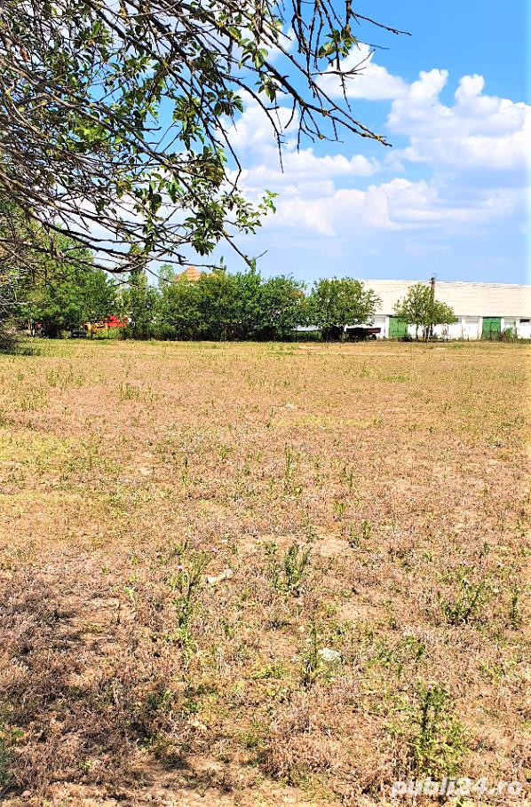 PARCELEARE NOUA, drum asfaltat , Constanta com Cobadin -460 mp ,  