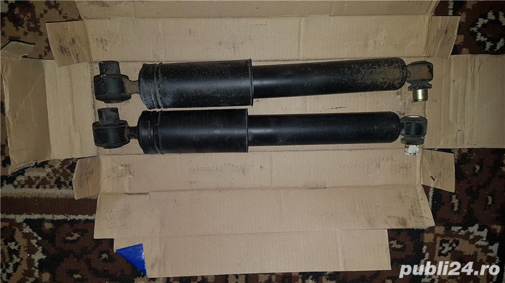 Vand telescoape spate Renault Magan Scenic Vand telescoape spate Renault Magan Scenic