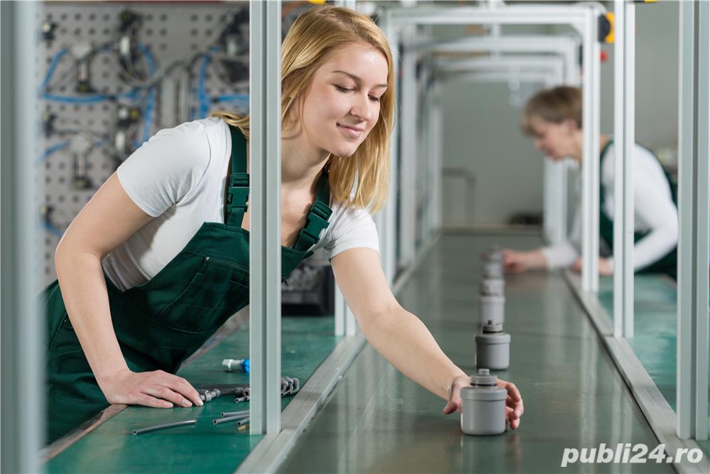 Operator Productie Automotive