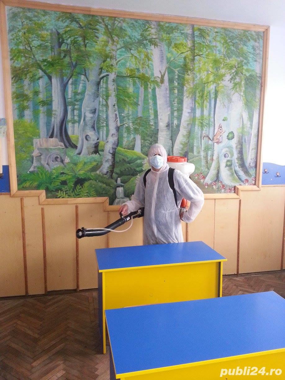 Dezinsectie Dezinfectie Deratizare cu Contract de Prestari Servicii