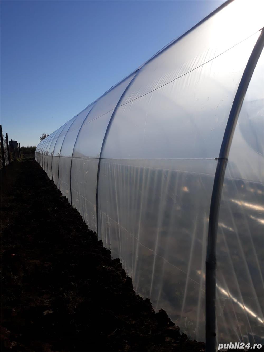 solar metalic pentru legume si flori 20 m lungime /4 m deschidere/ 2,5 m inaltime