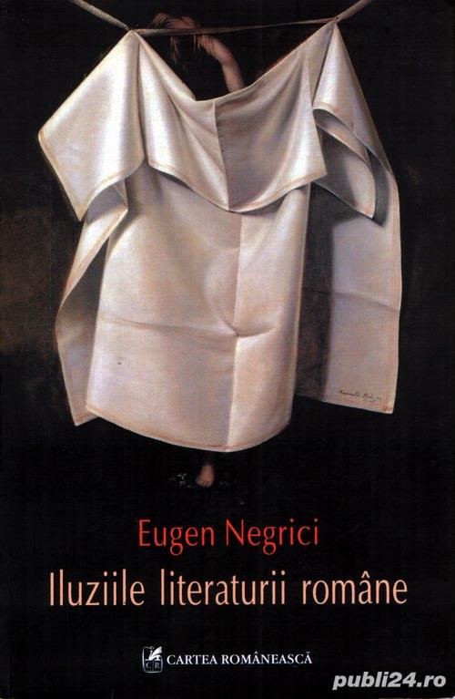 Iluziile literaturii române de Eugen Negrici