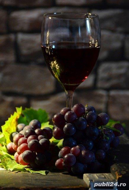 Vin natural podgorie proprie