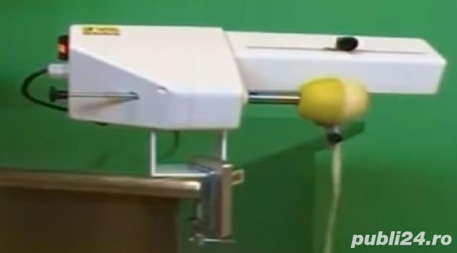 Utilaj decojit ,scos cotor si taiat in rondele-mere si pere