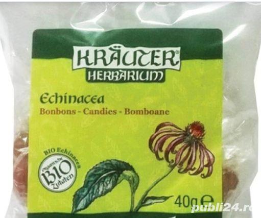 Dropsuri cu salvie. Dropsuri ehinaceea Dropsuri cu salvie. Dropsuri ehinaceea