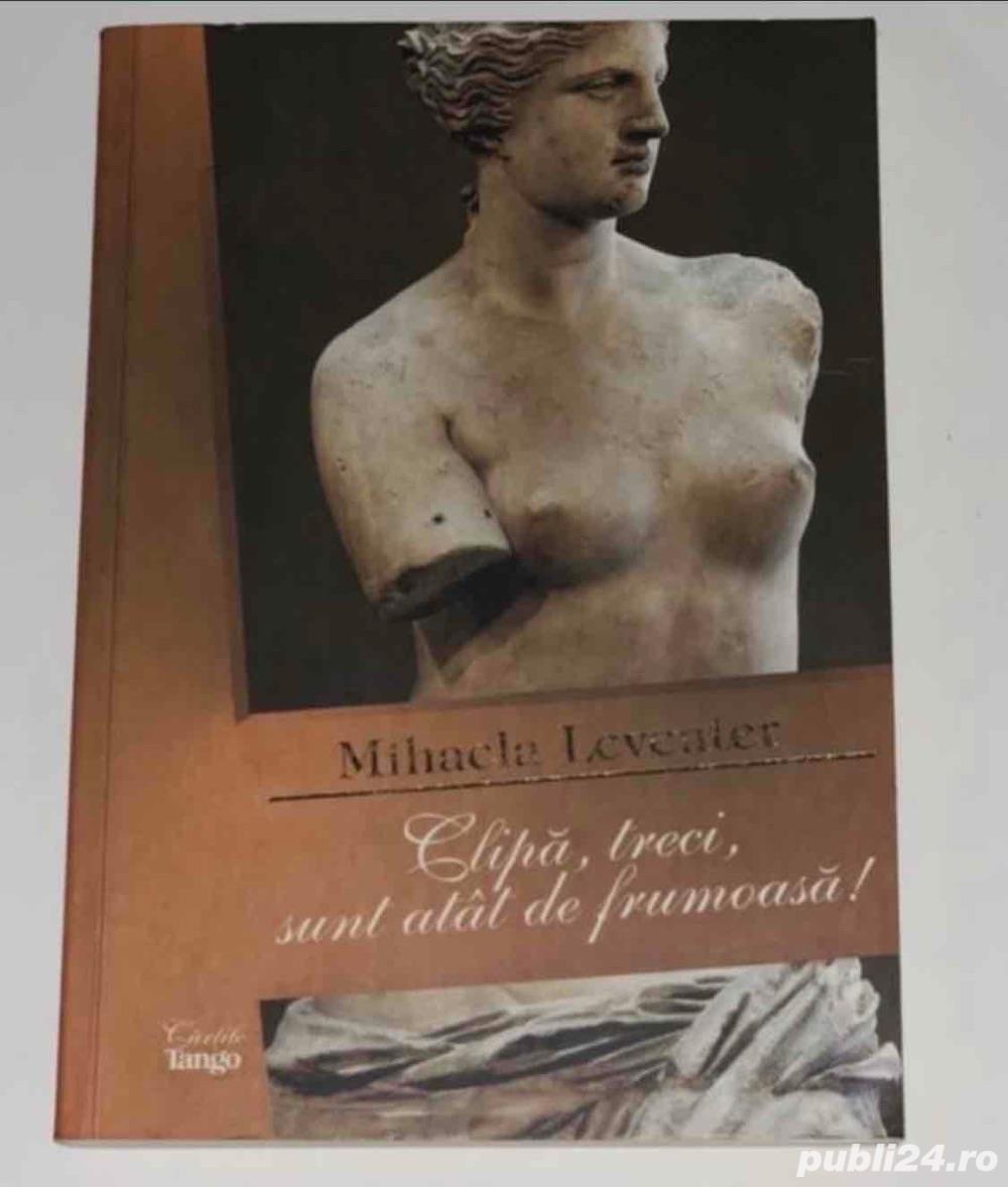 Clipa, treci, sunt atat de frumoasa!, de Mihaela Leventer Clipa, treci, sunt atat de frumoasa!, de Mihaela Leventer