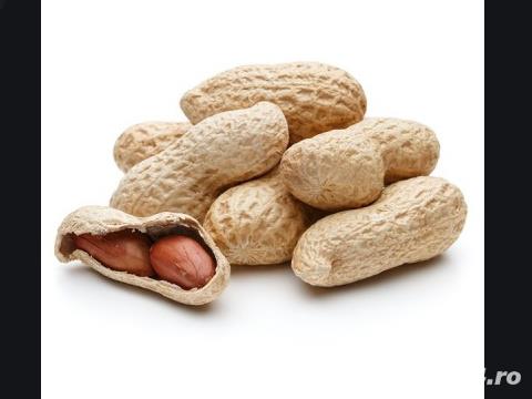 Arahide, Alune de pamant, samanta Arahide, Alune de pamant, samanta
