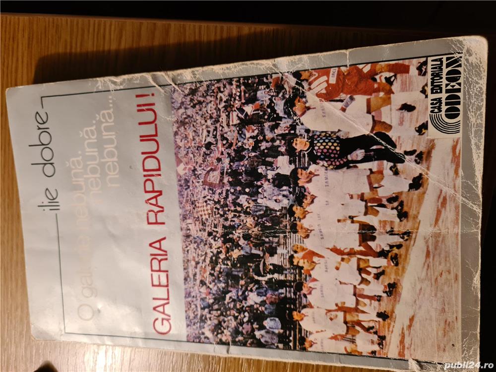 O galerie nebuna, nebuna, galeria Rapidului-Ilie Dobre
