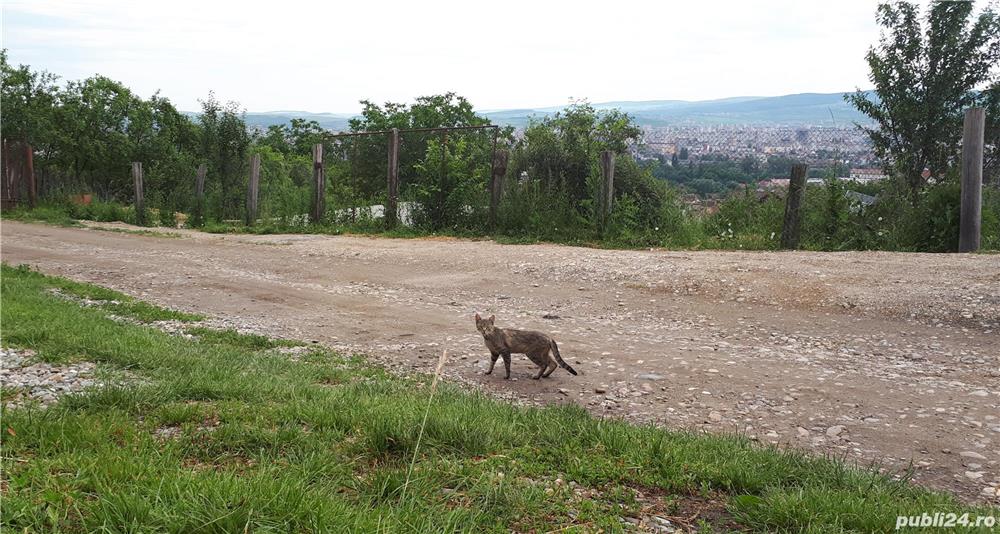 Teren Intravilan Cluj-Napoca