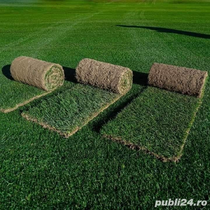 Amenajare si intretinere spatii verzi