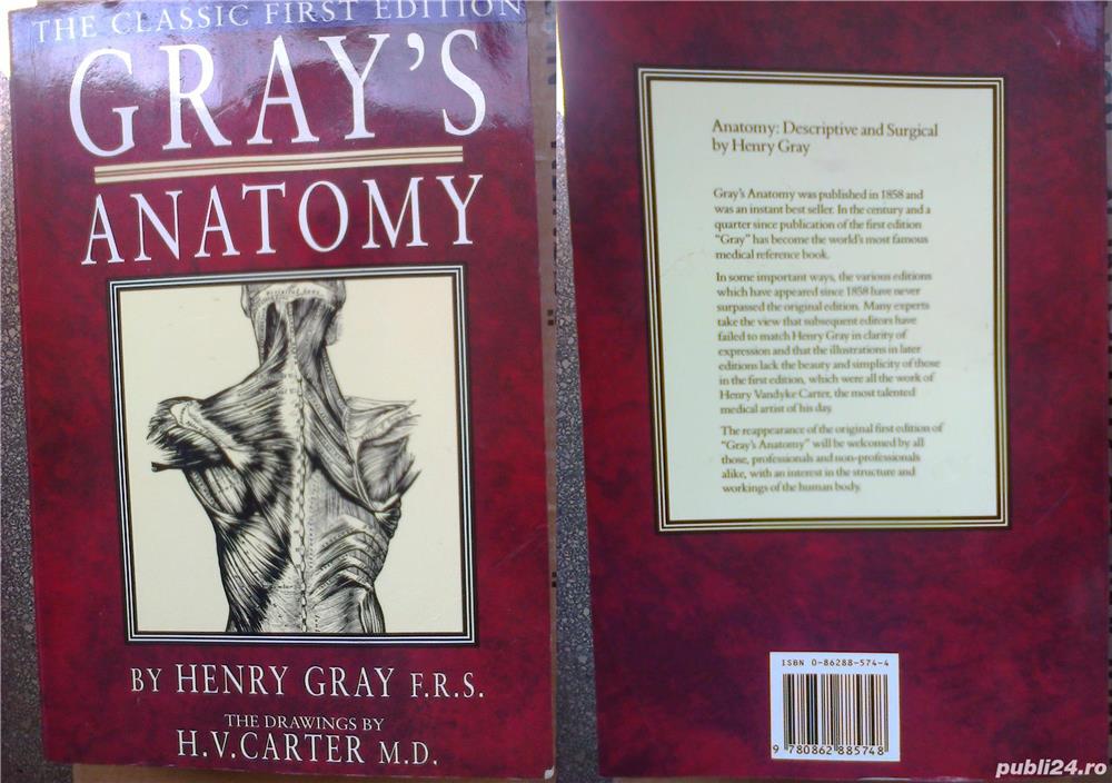 Anatomia de Gray, carte medicina engleza: Anatomie descriptiva si chirurgie, Londra