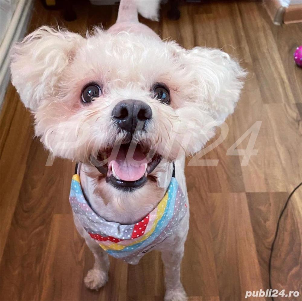 Tuns, coafat, spălat și Duminica, fără programare! 